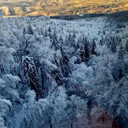 아파트 Foxi Apartment, Pohorje