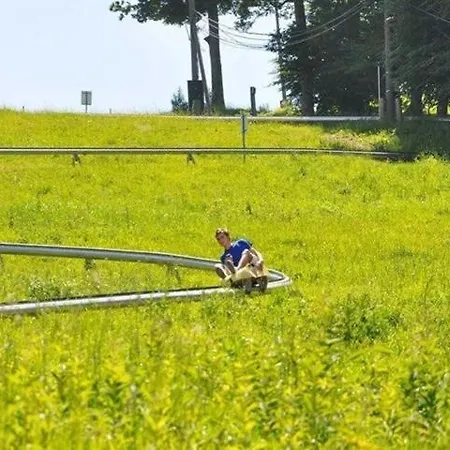 아파트 Foxi Apartment, Pohorje 호코포호르예