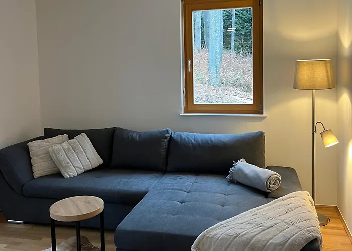 Foxi Apartment, Pohorje *