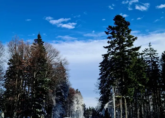Foxi Apartment, Pohorje Apartmán *