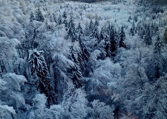 Apartmán Foxi Apartment, Pohorje