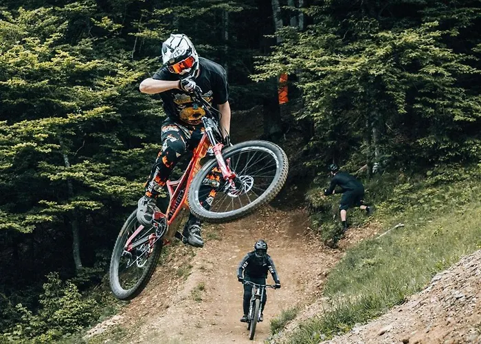 Apartmán Foxi Apartment, Pohorje *