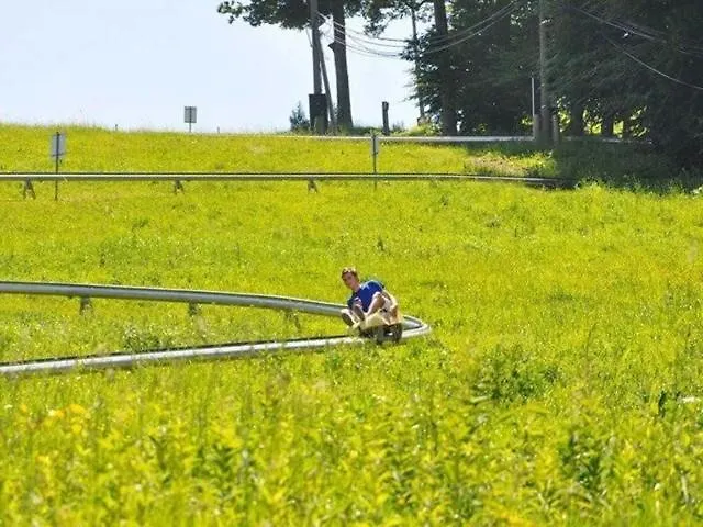 Apartmán Foxi Apartment, Pohorje Hočko Pohorje